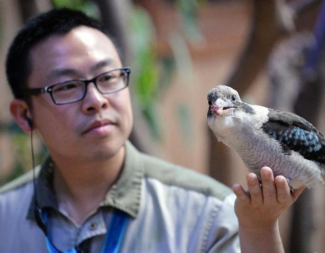 ��ۺ���԰��չ�ݡ��������桱��Ļ��