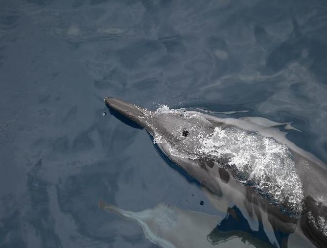 ̨�廨���������;��ࡱ