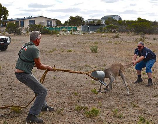 �Ĵ��ȴ���ͷ��������� �����˾������ޡ�