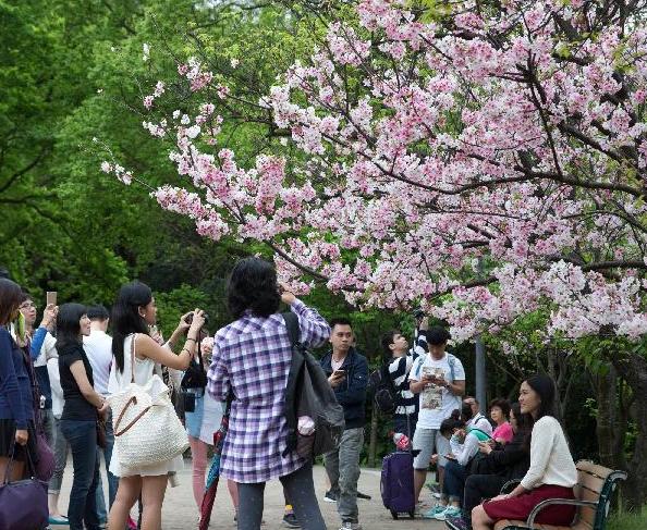 ��������ɽ���߽�̨���˵ġ���԰����