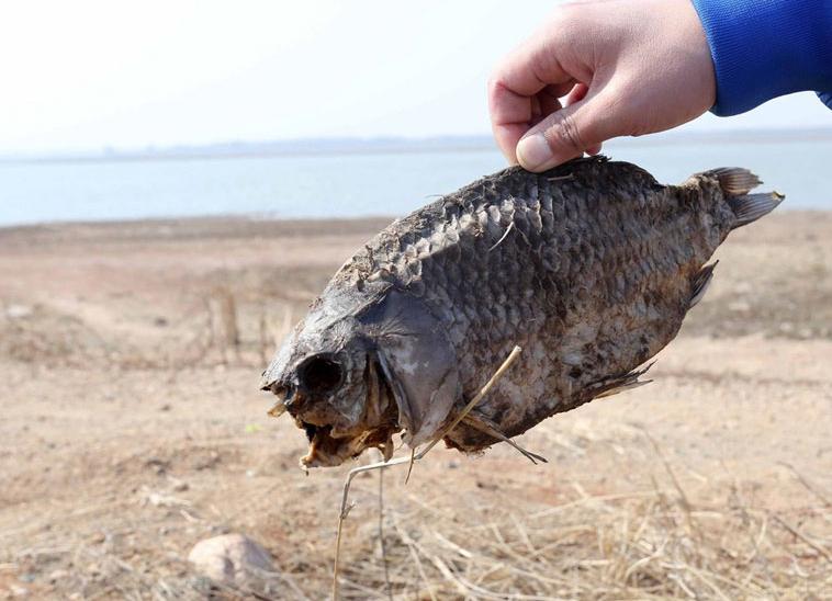 ɽ��Ϋ���������ɺ� ˮ��̲Ϳ���֡���ɡ���