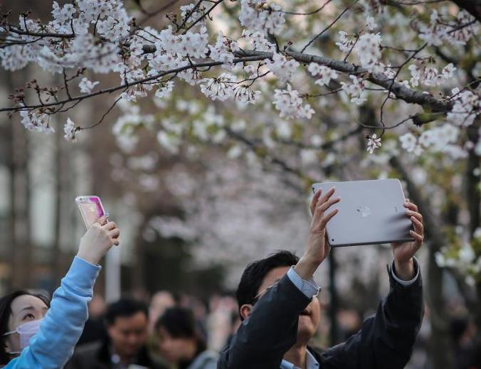 �Ͼ�������ɲӣ���� �������������������