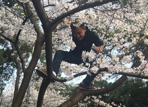 ʮ���ο�ӿ������ͻ� �ο������조ӣ���ꡱ��