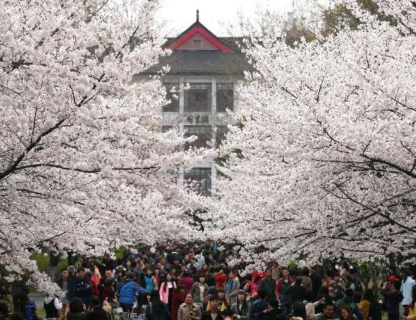 �Ͼ��ִ�У԰ӣ����������