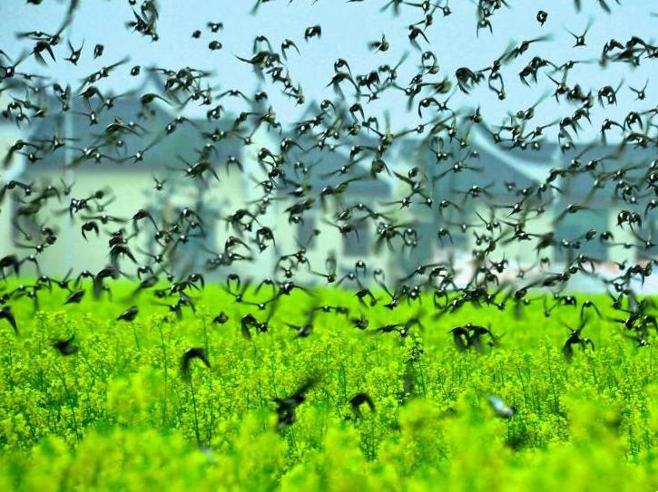 ���ϰ��� ���񻶾ۻ�����