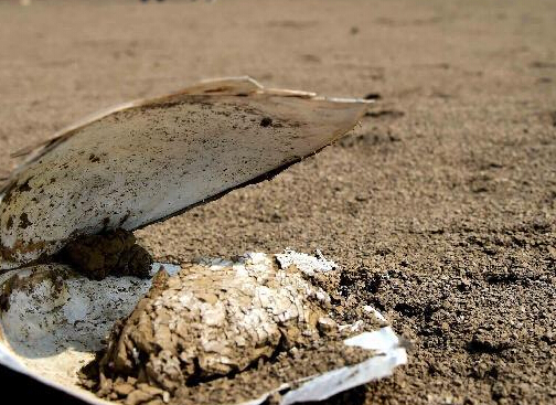 ɽ��������� 274��ˮ��ɺ�157���ӵ�������