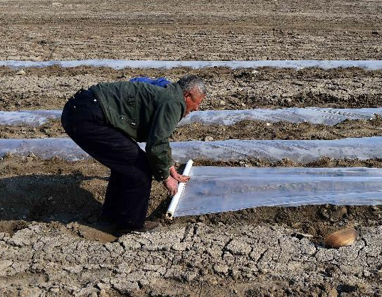 ɽ��������� 274��ˮ��ɺ�157���ӵ�������