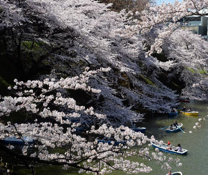 ����ӭ����ӣ�߷塱