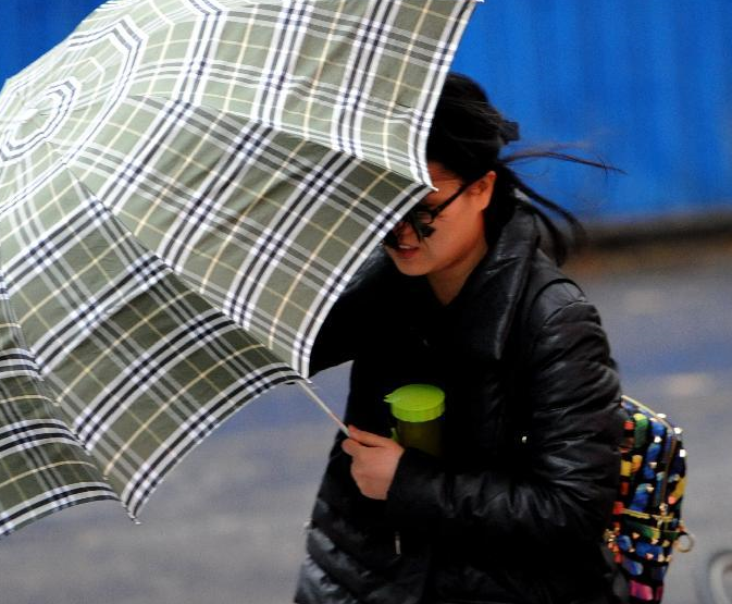 ���ϳ��ֽ�����������