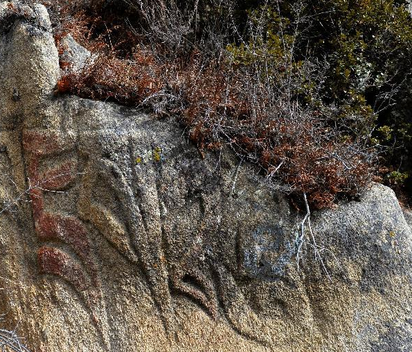 �߽���ެ�ŵ��ż���