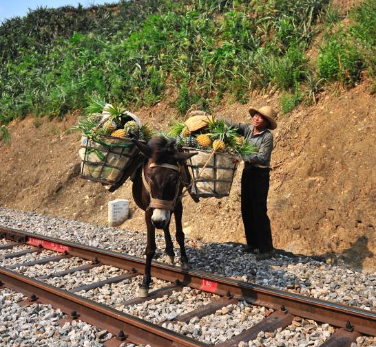 ���Ϻӿڶ�����ɫ��¿������ӡ�