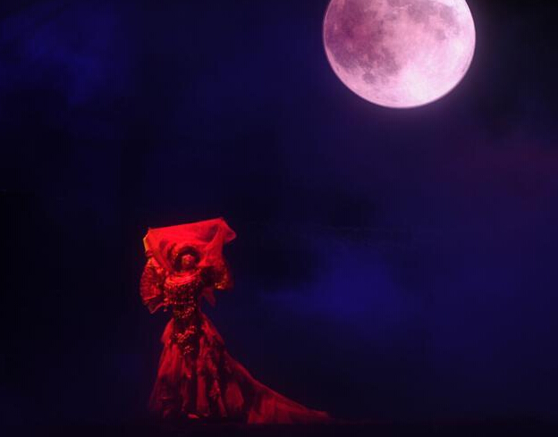 �����ԭ�����߳ǡ�������̨ ʵ���ݳ���������������