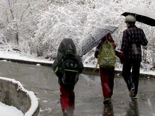 �½����ܽ�ѩ��