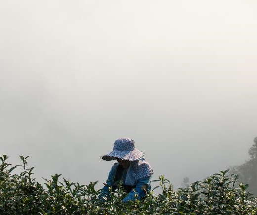 ���ư��Ҳɲ�æ��