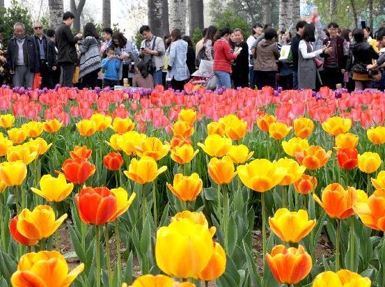 ̤���ͻ���