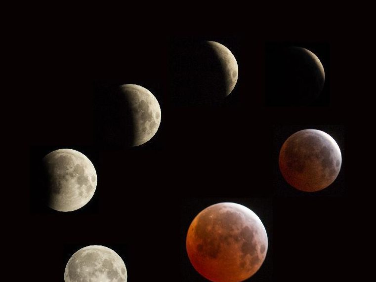 ����ӭ�������������ȫʳ��