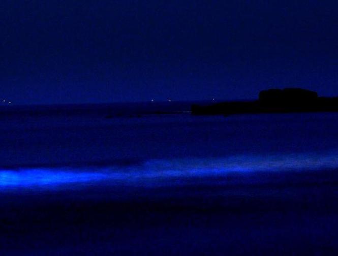 �ൺ��������ҹ������ɫ����