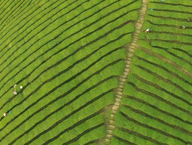 �й��̲����������ǰ�ɲ�æ��