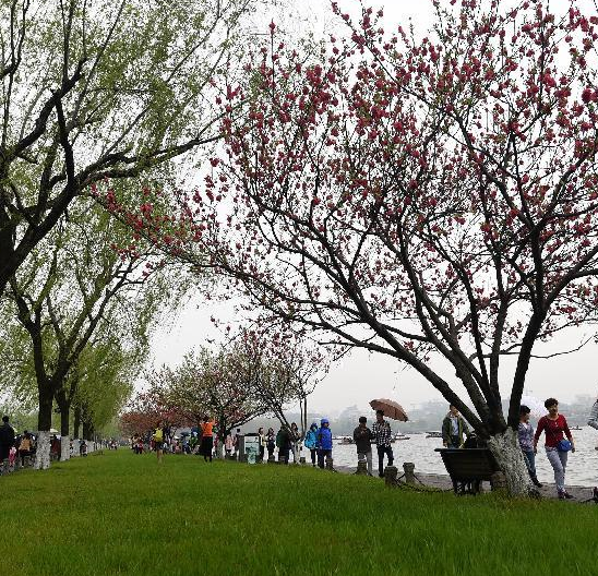 ���������οͶࡱ