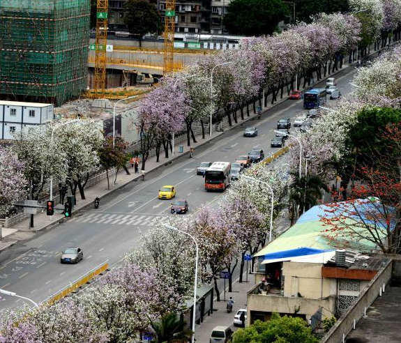 ���������ʢ�� ��·��������������