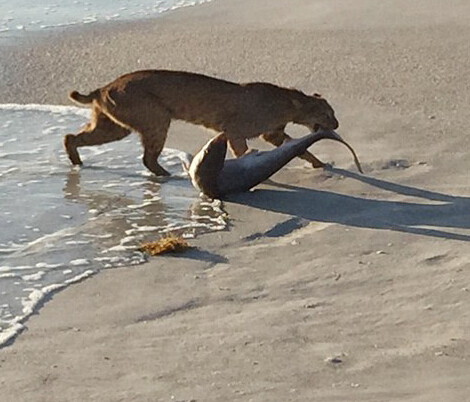 ɽèл׽С Ӱʦ¾˲䡱