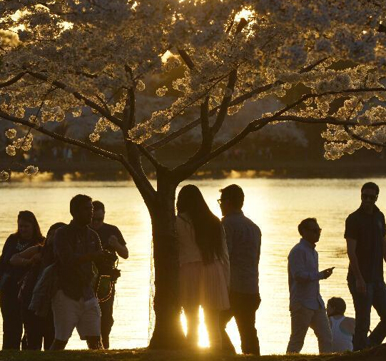 ������ �ƻ�ʱ ӣ���¡�