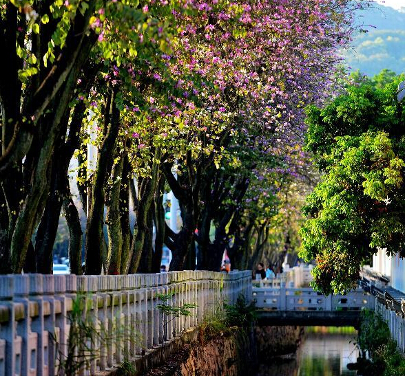 ���ݣ����Ǿ�������ס�