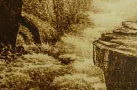 孙光陆作品欣赏”