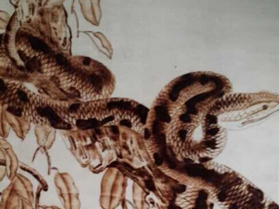 孙光陆作品欣赏”