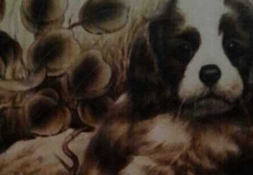 孙光陆作品欣赏”