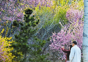 春游南翠屏 乐赏满园春(图)”