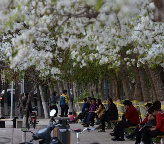 �½�������滨һҹ���� ׳��������