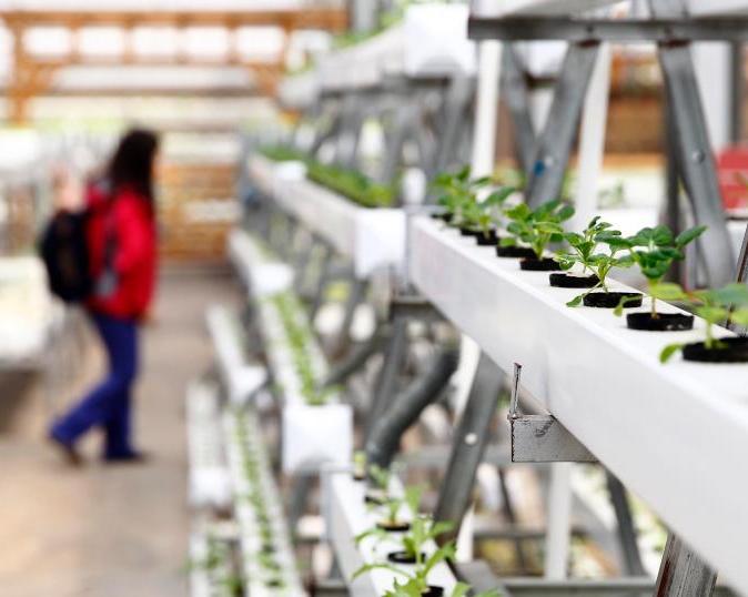 �߿Ƽ��������������Ĳˡ���