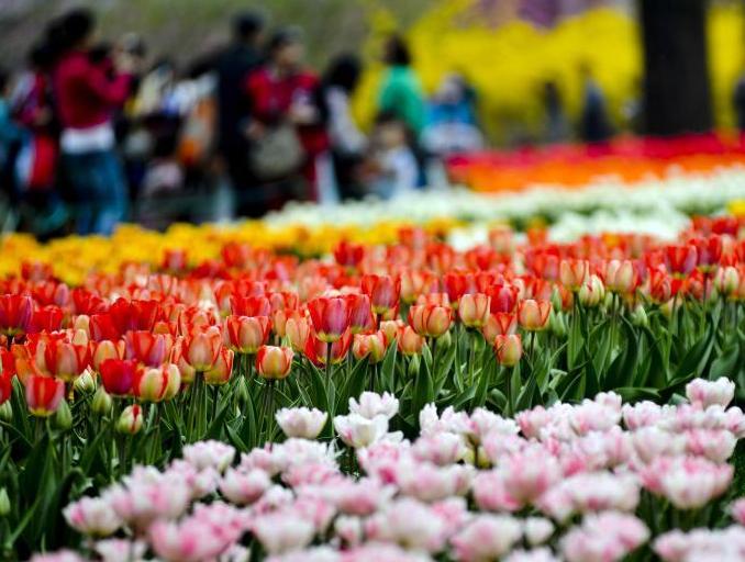 ����ֲ��԰ӭ������ͻ��ڡ�