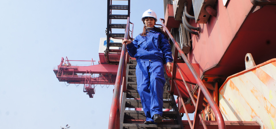 ɳϦ�����Ƶ�28��ľƬ�����Ż��������ۻ���ҵ�Ŀհ�