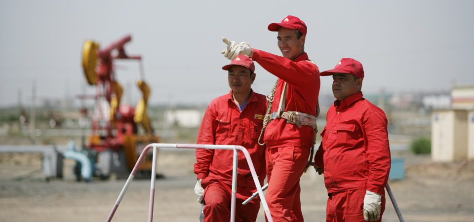 ���������ᡤ�Ϳ��Ⱥ��ȫ�������λ���֡�����조ȫ�����������Ž�������㽱�����½�ά������������Ͷ�ģ���ȳƺ�