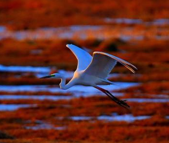 �½����ͺӰ�������������