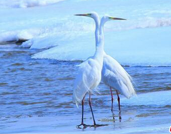 �½����ͺӰ�������������