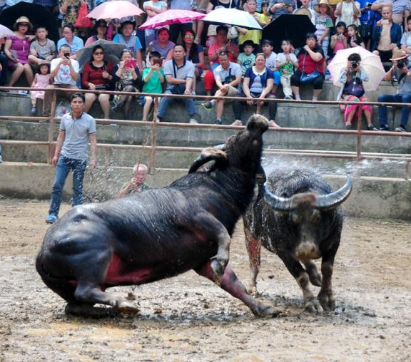 ȫ����ʡ����ͷţ�����Թ������硱