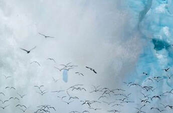 Ų����������˲������ӱ����ɳ���