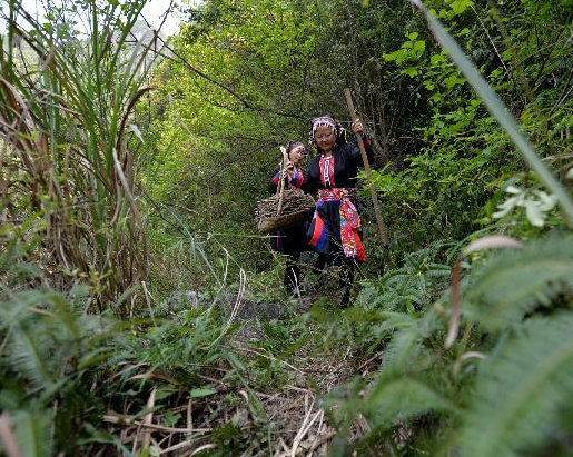 ����çɽ��̽��ާ�����Ρ�