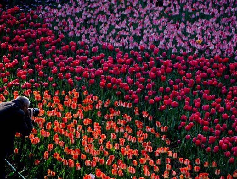 ����ֲ��԰50���������㾺�࿪�š�