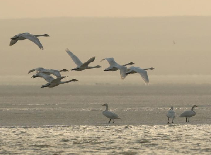 ��������㼯���ɹ��������߲�ԭ��