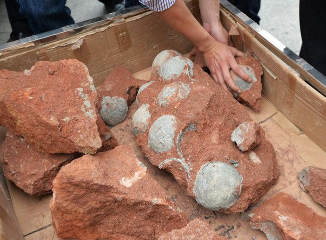 �㶫��Դ�������ڳ�43ö��������ʯ��