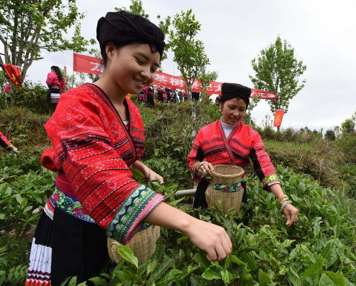 ������ʤ����Ⱥ�ڸϲɡ�����衱��