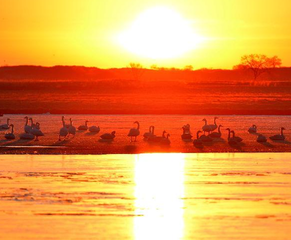 ��ԭ�ϵġ���������