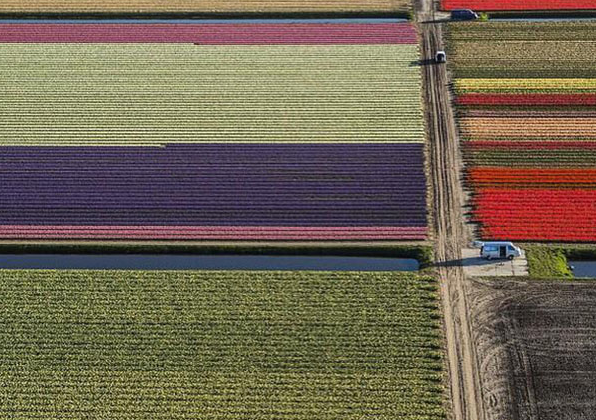 ����Ӱʦ���ĺ��������㡰�ʺ��̺����