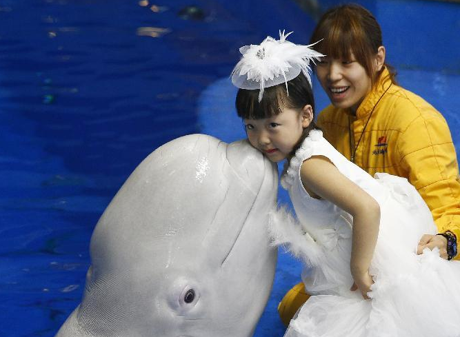 ����С������ļ ��ʨ�����鷨��