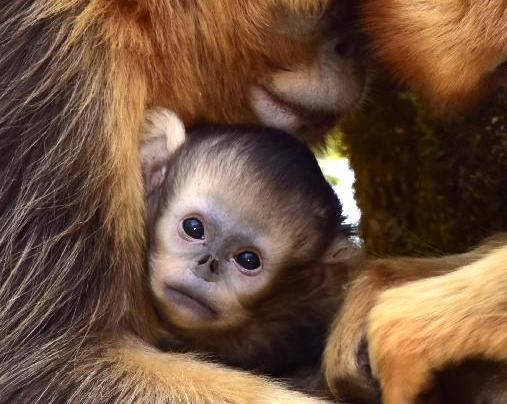 ��ũ�ܴ���̶��˿���о����������¶���