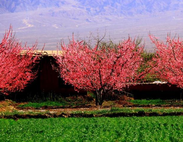 ����ɽ��ӳ���һ������족